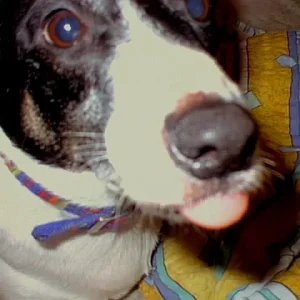 PhotoPC_Mittwoch_3_November_2004_0601_18