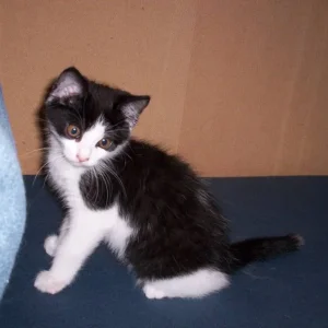 Das ist unsere süsse kleine Maus Jeanny