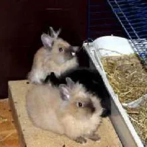 ... bei der Wärme am schönsten