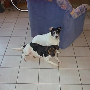 PhotoPC_Donnerstag_20_Juli_2006_1255_9