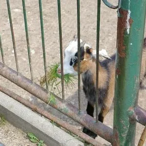 hmm ... schmeckt das gut