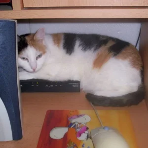 Jerry auf meinem Modem ...