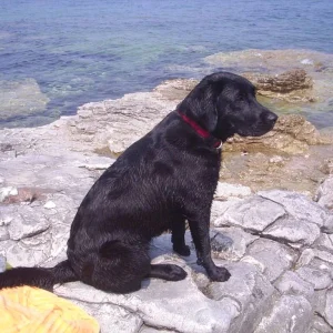 Sarah auf Sommerurlaub