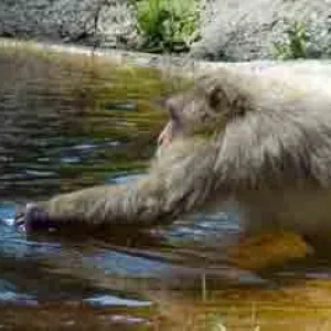 So viel Arbeit für so wenig Futter...