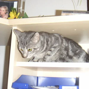 Und das ist sie heute