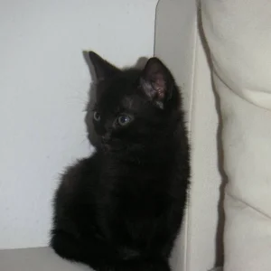 Mein Whisky!! Heute eingezogen :-)