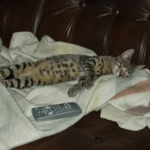 Ganz schön müüüüüde unser Dynamo