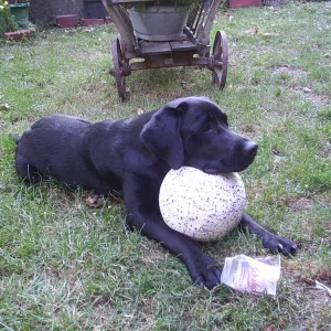 keiner mag mit mir spielen