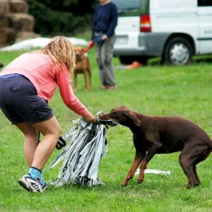 Juhu ich hab´s das ist mein´s
