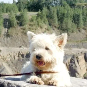 Bergsteigen ist nix für mich