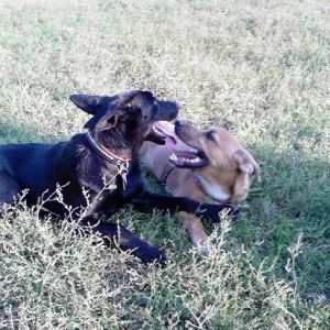 Lui mit seiner Freundin