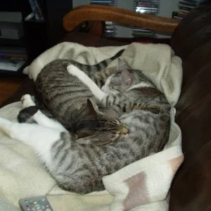 Morty und Dynamo in trauter Zweisamkeit