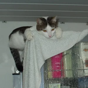 Was macht mein Fraudi in der Badewanne, das ist doch nass!!