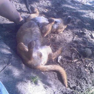 Ob sich da jemand wohl fühlt ?