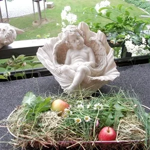 Ninchenfutter aus dem Naturgarten