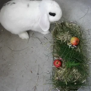 Lecker- Schmecker Betrachtung