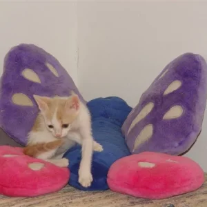 Hilfe. Antwort gesucht !!!