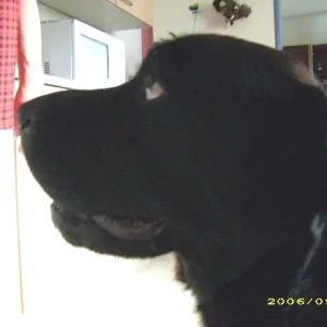 na geh fällt da nix für mich ab