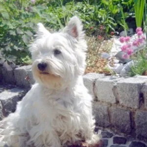 wie jetzt... der Sommer ist vorbei ???