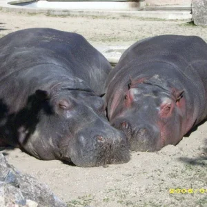 na sind die beiden nicht goldig?