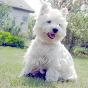 Und...was machen wir nun ???