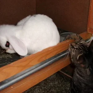 Ich will mal schmusen!