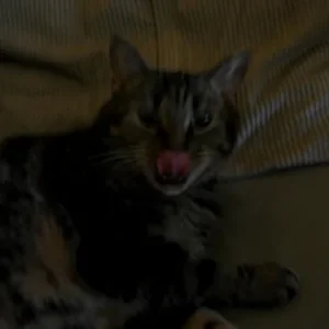 Meine Herz- Zunge im Dunkeln