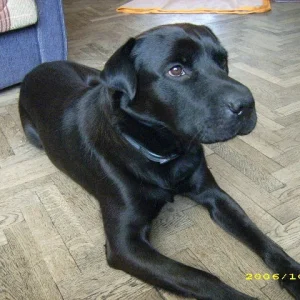 na wer schaut da so neugierig?