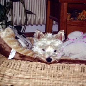 Ich bin sooo müde !!