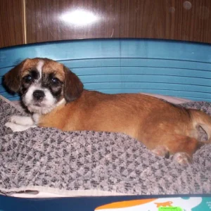 Wer fotografiert mich da ???