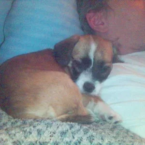 Mann oh Mann, ist das gemütlich ... *schnarch*