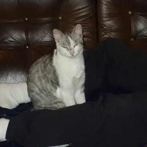 Im Gedenken an mein Baby Morty