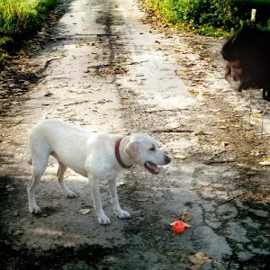 Geli und Bonnie gestern, Ende Oktober