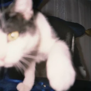 Wer bischt den du ???