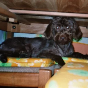 Meine süße Susi =)