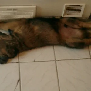 Bin ich müüüüüüüde