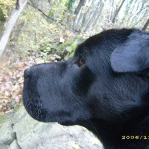 ein schönes seitenprofil kann auch entzücken