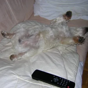 Nach getaner Arbeit 2