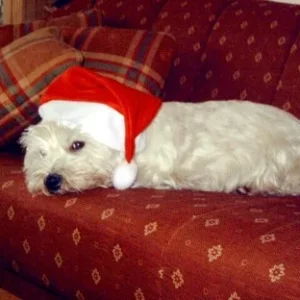 Auch ein Nikolaus ist mal müde