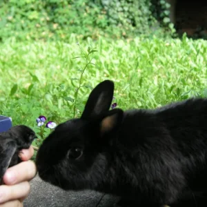 Möchte gerne kenenn lernen