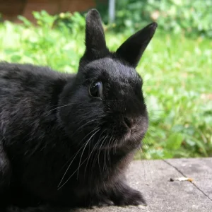 Muku das Fotomodel :)