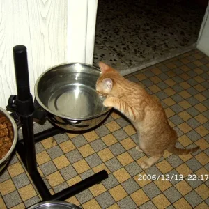 Mönsch ist das hoch