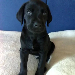 Mal im Sitzen, unser Hero