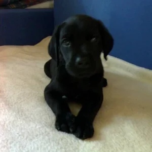 Mal im Liegen, unser Hero