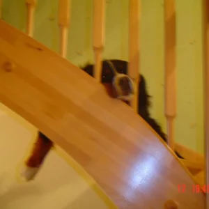 faulenzen auf den Stiegen