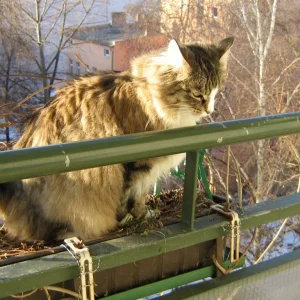 Wann ist alles wider grün??