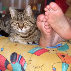 Käsfüsse Katzenfüsse - egal Hauptsache bequem