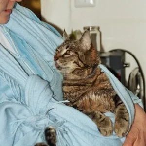 Schrödinger in bequemer Lage