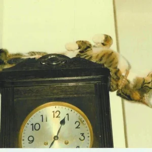 Wozu Uhren doch gut sind, vor allem solche