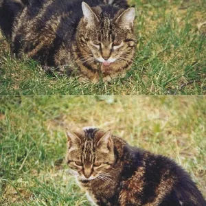 Mdme DuMeTe und ihr Sohn